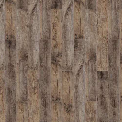 ������� Timber Forester ��� ������� ������ � ������ � ���������� ������� 