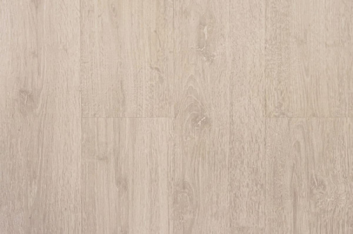������� Ritter Organic 34 ��� ������� 34968229