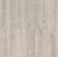 SPC ������� Tulesna Premium ��������� ���� Felice 1004-2001